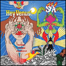 Super Furry Animals "Hey Venus" - a sort of cosmic Bacharach trip